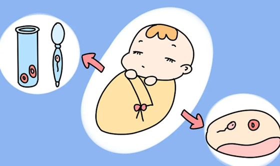 试管婴儿的孩子好吗试管婴儿比自然受孕的聪明吗