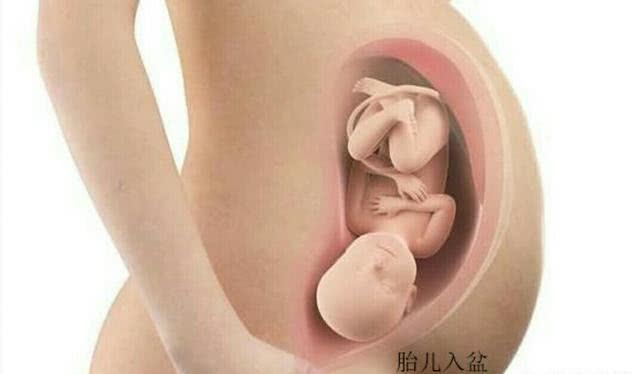胎宝宝入盆后肚子图片图片