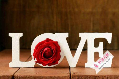 鸡肋爱情,弃之不惜