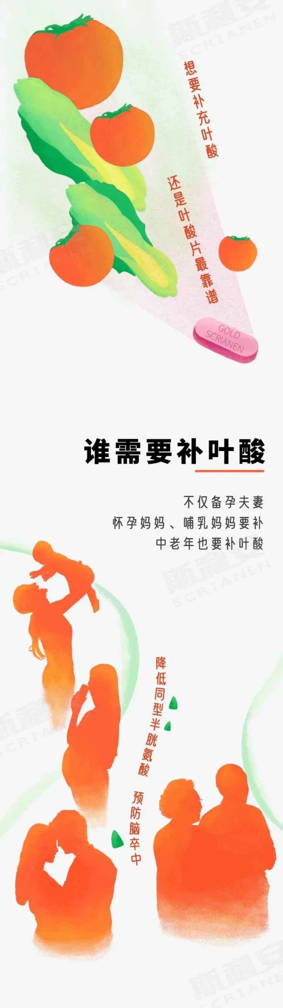 补充叶酸,不可不知的6大要点!