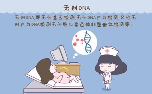 一代试管婴儿做无创dna还是唐筛